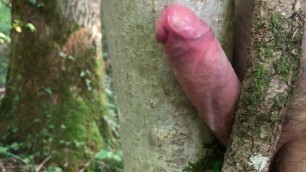 Masturbation outside with a tree and big cumshot no hands